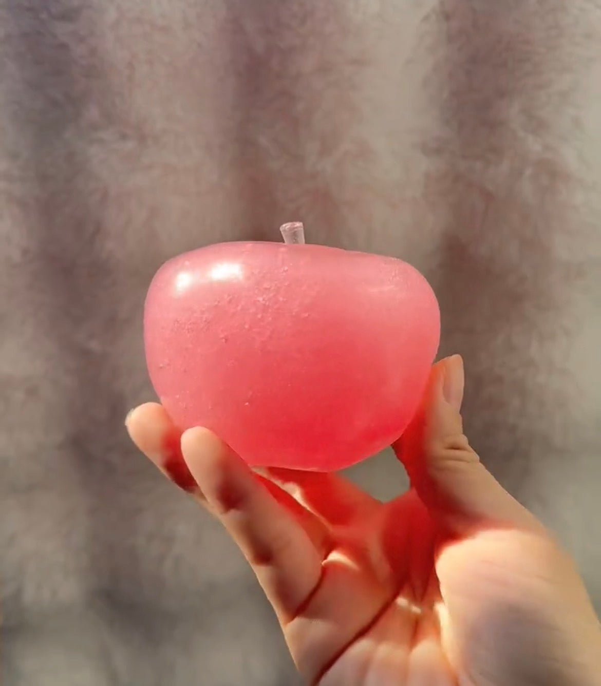 Food Squishies Collection